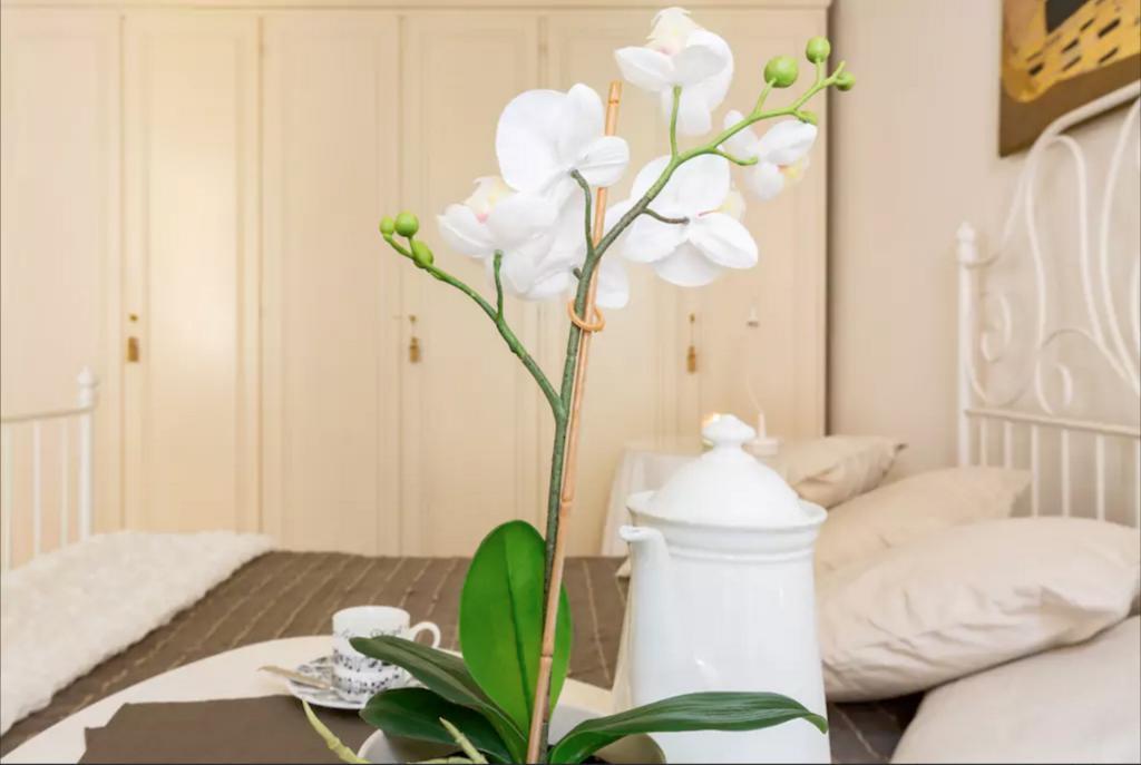 Via Laurina 40 Apartment Rome Extérieur photo